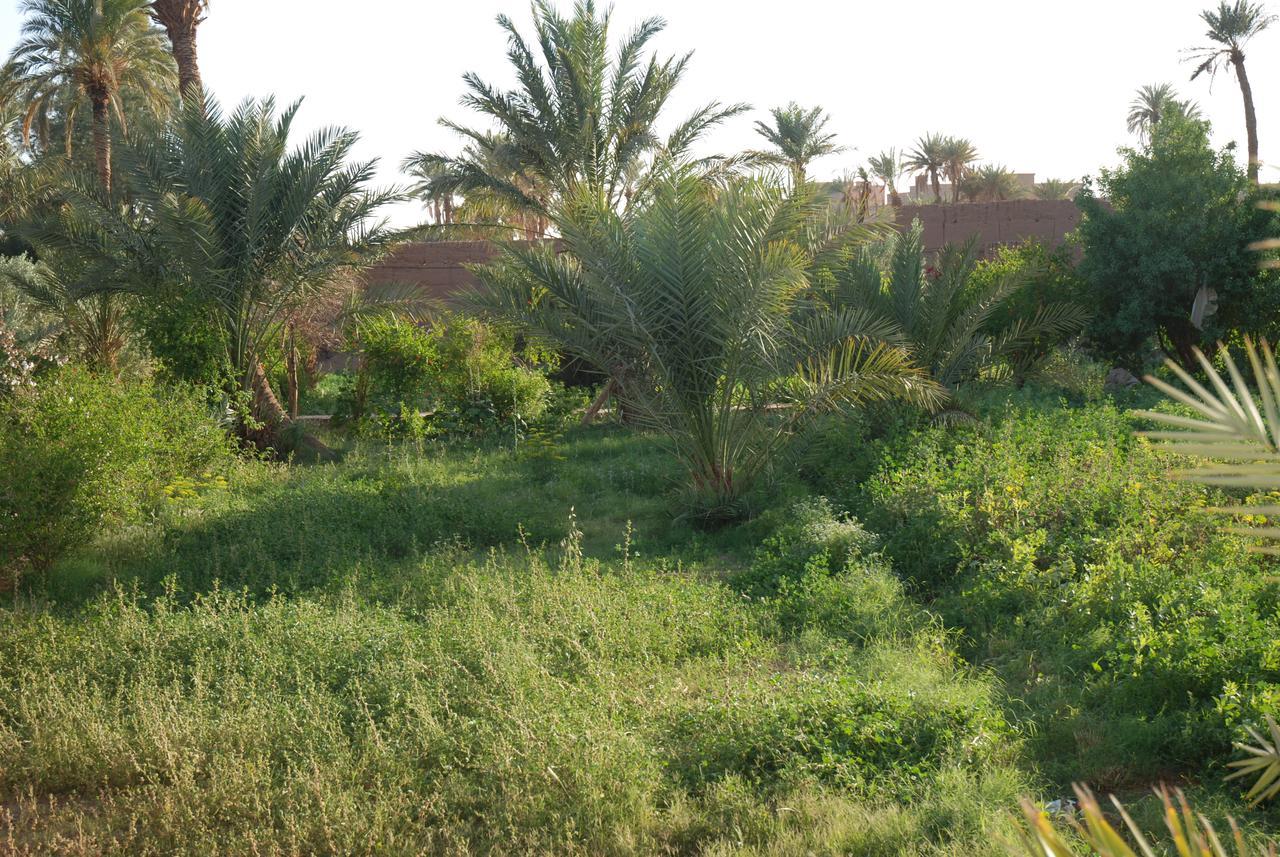 D'Hote Jnane-Dar Diafa Tamgrout Exterior photo