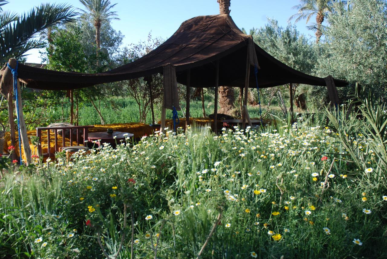 D'Hote Jnane-Dar Diafa Tamgrout Exterior photo